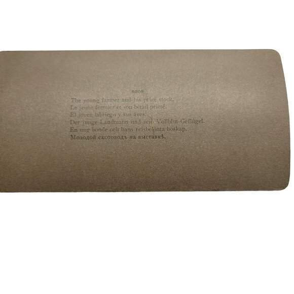 Antique Stereoscope Photo Card The Young Farmer Boy & Chickens 1904 LI89 - Picture 5 of 5